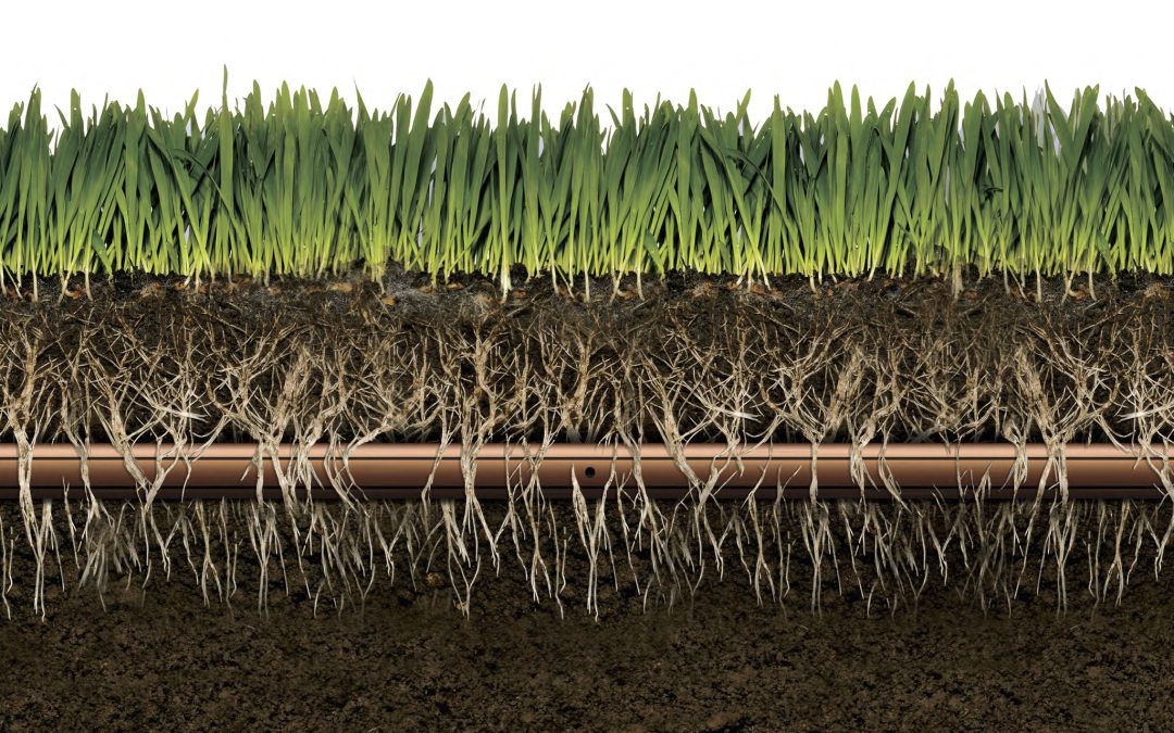 XFS Subsurface Dripline